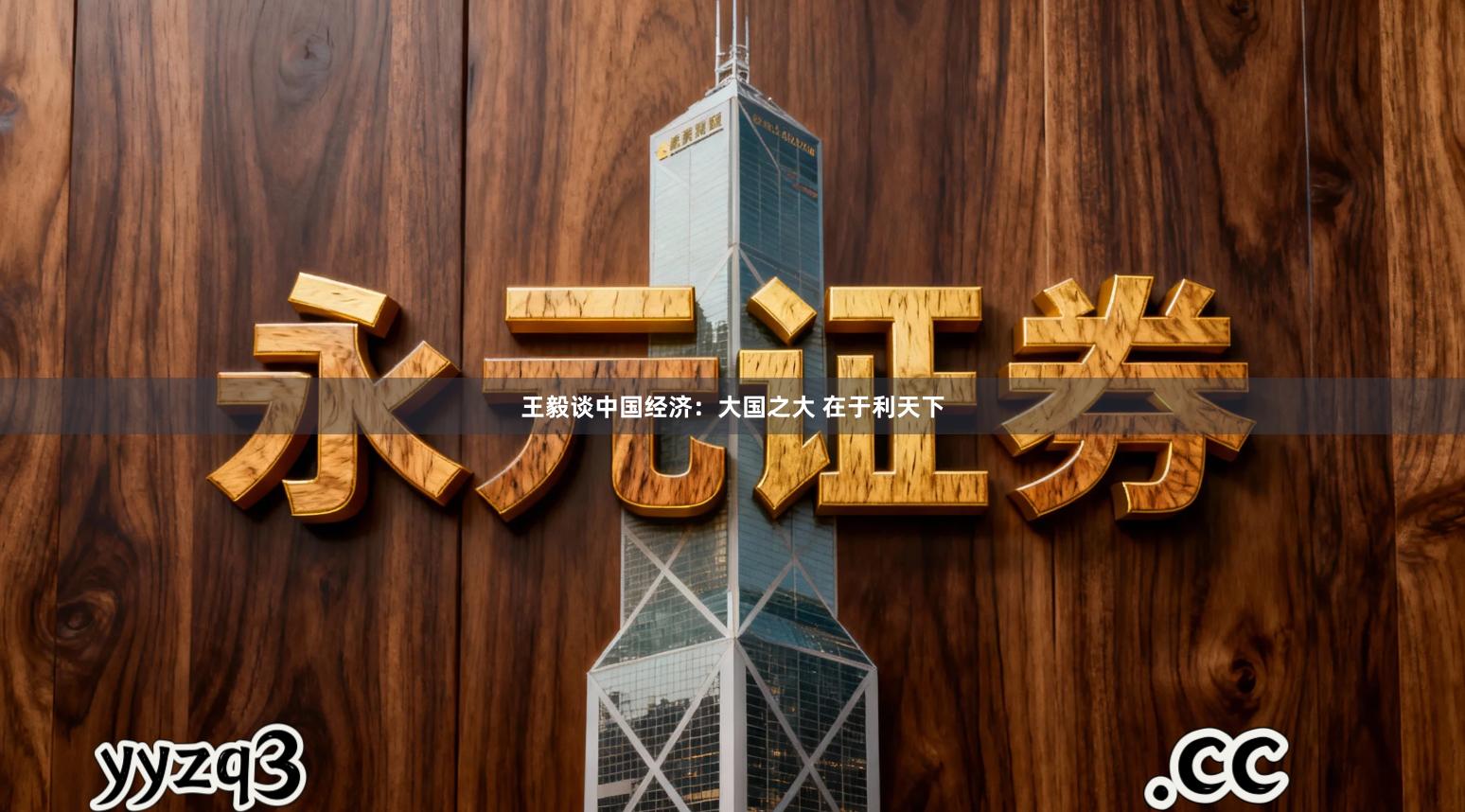 王毅谈中国经济：大国之大 在于利天下