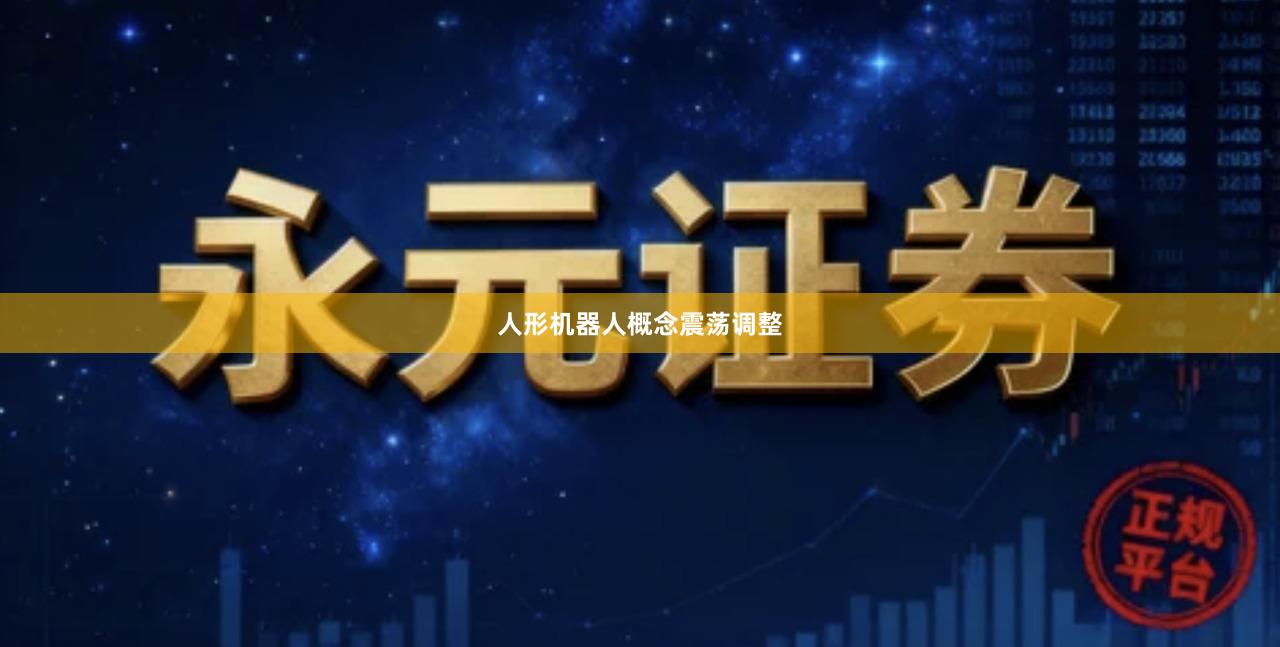 人形机器人概念震荡调整