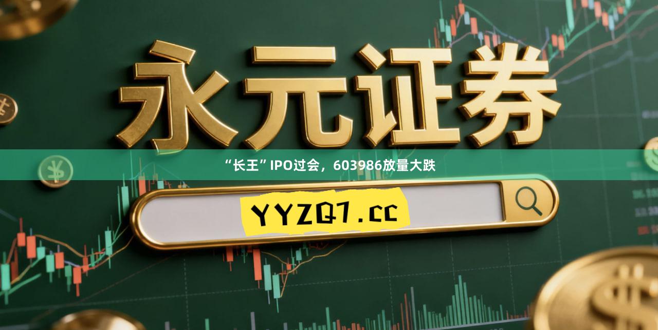 “长王”IPO过会，603986放量大跌