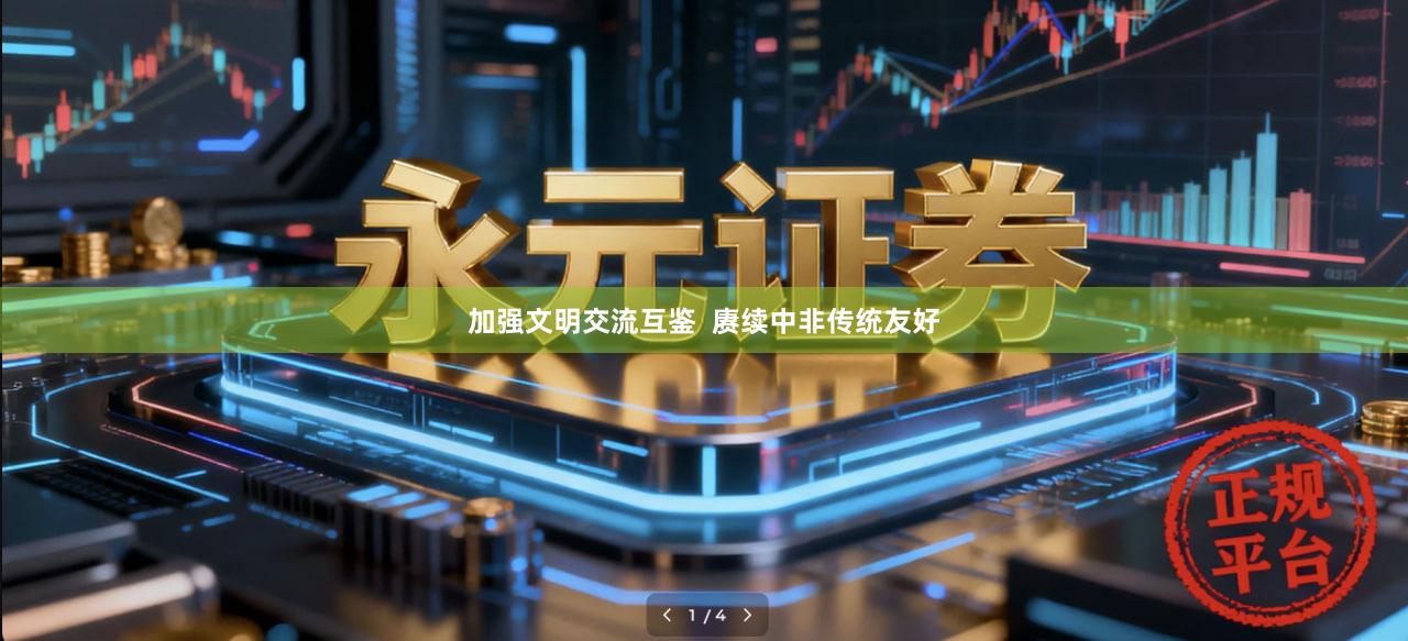 加强文明交流互鉴  赓续中非传统友好